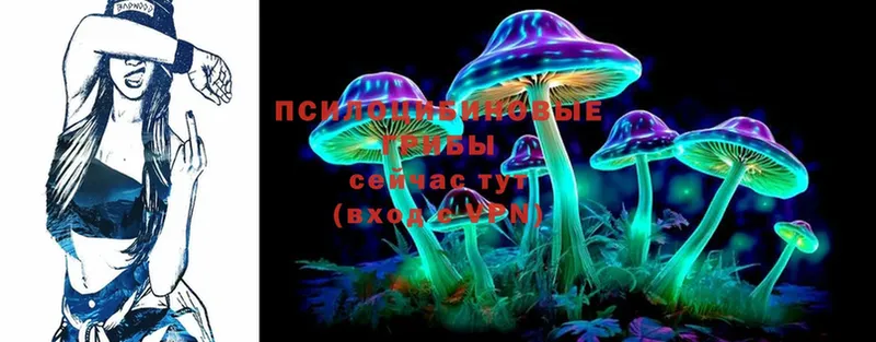 Галлюциногенные грибы Psilocybe  магазин продажи   Мурманск 